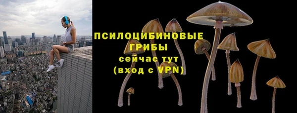 СК Липки
