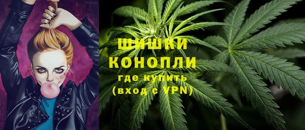спиды Ладушкин
