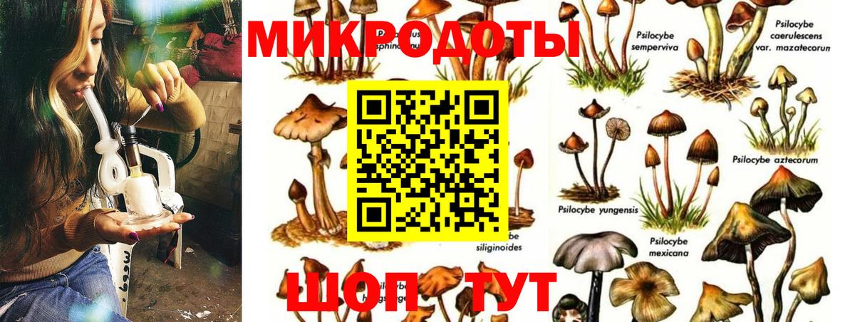 Галлюциногенные грибы MAGIC MUSHROOMS Калач-на-Дону