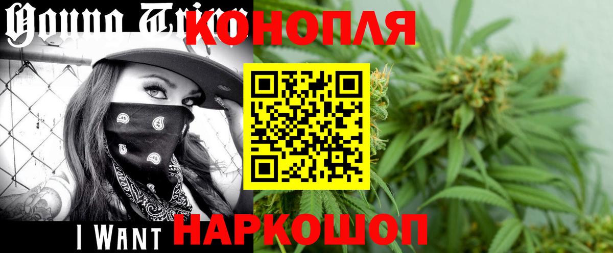 Бошки Шишки план Калач-на-Дону